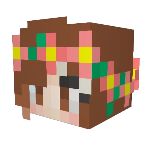 Nothingbutflame Minecraft avatar head, 3D render