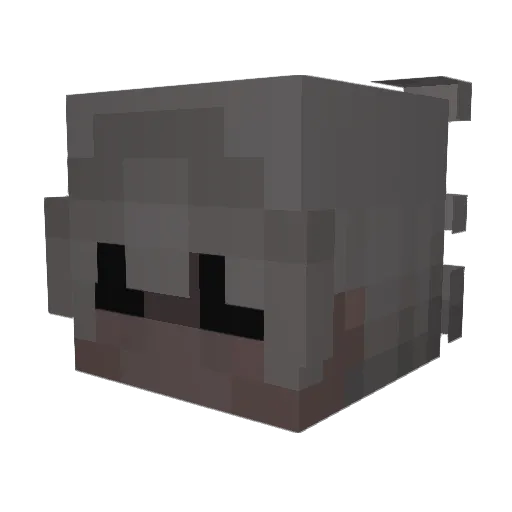 Nothixq_ Minecraft avatar head, 3D render