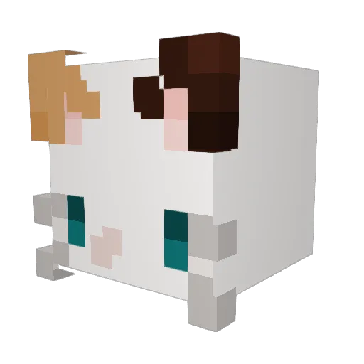 Notladybug Minecraft avatar head, 3D render