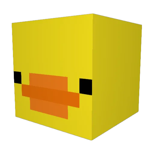 NotoExb Minecraft avatar head, 3D render