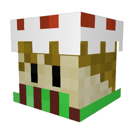 Notoctoty Minecraft avatar head, 3D render