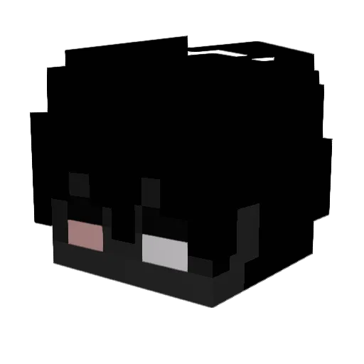 Notoli2 Minecraft avatar head, 3D render