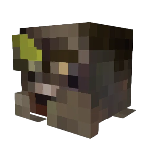 NotoriousBoom Minecraft avatar head, 3D render