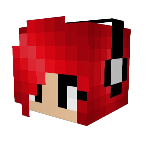 NotoriousXD Minecraft avatar head, 3D render