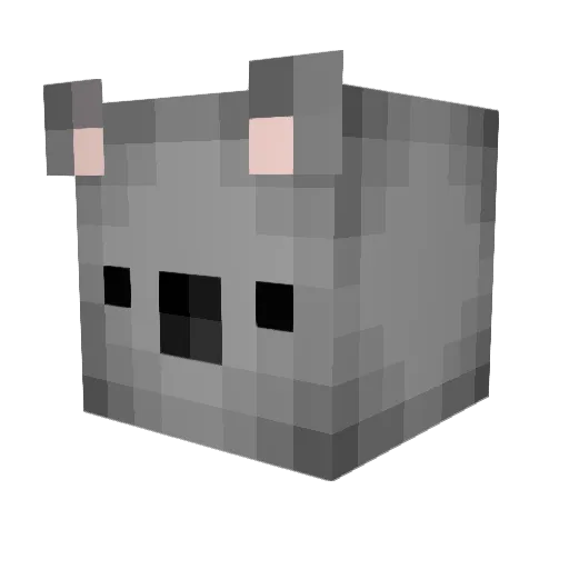NotorioussKoala Minecraft avatar head, 3D render