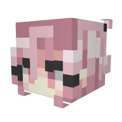 Notot Minecraft avatar head, 3D render