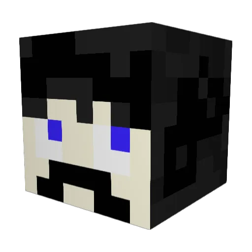 Notplayer2306 Minecraft avatar head, 3D render