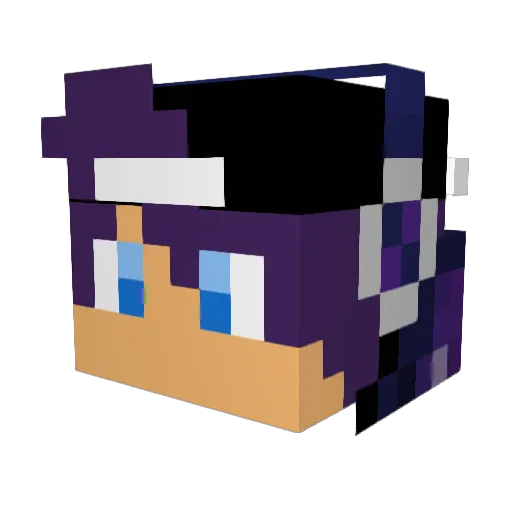 Notprojusthacks Minecraft avatar head, 3D render