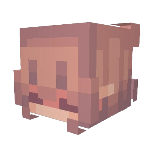 Notratgod Minecraft avatar head, 3D render