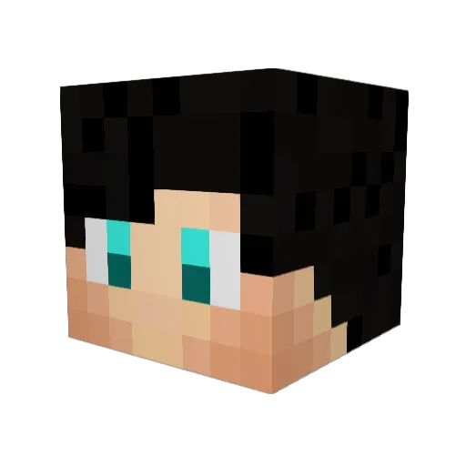 Notrealarhan Minecraft avatar head, 3D render