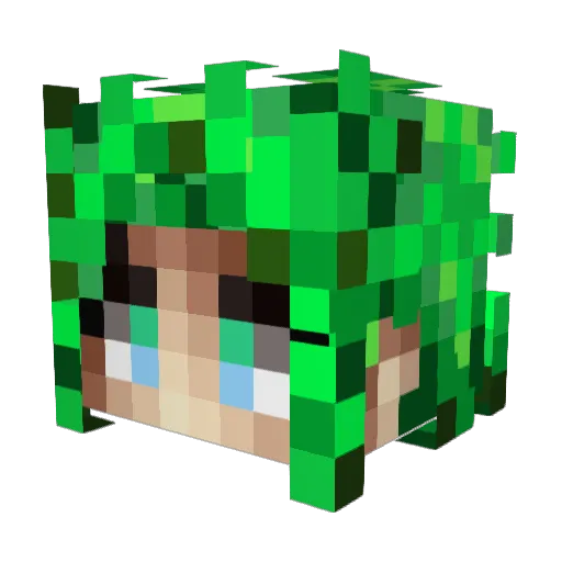 Notredeye Minecraft avatar head, 3D render