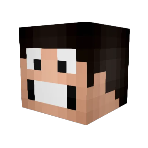 NotreveDark Minecraft avatar head, 3D render