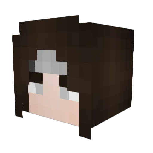 Notrllyme Minecraft avatar head, 3D render