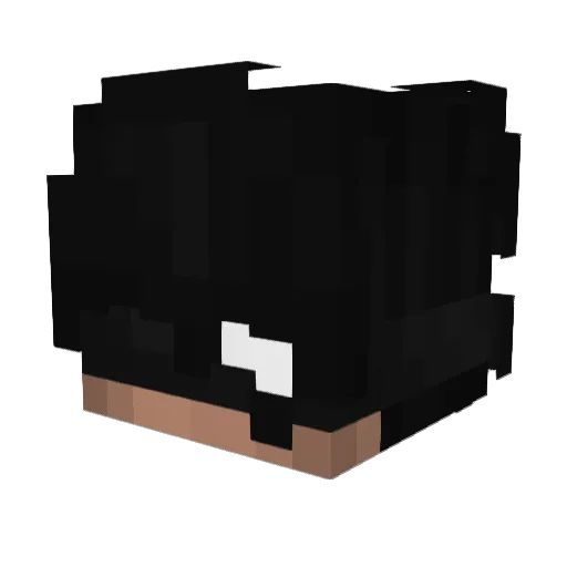 Notschie_ Minecraft avatar head, 3D render
