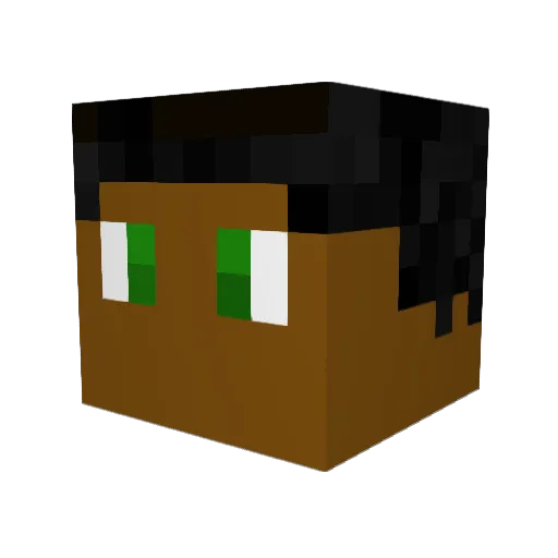 Notshot_04 Minecraft avatar head, 3D render