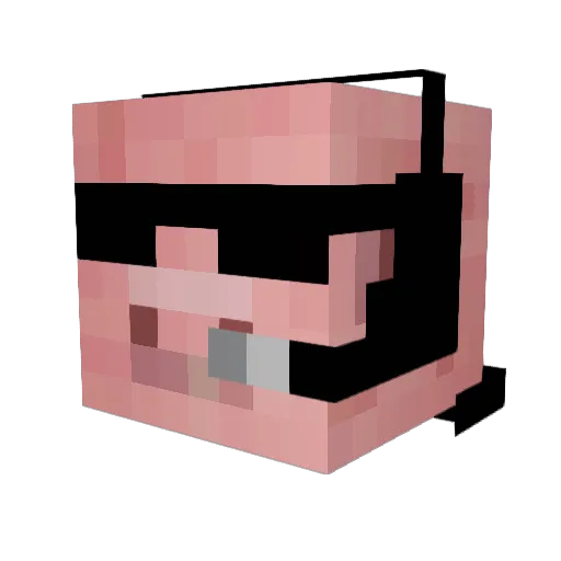 NotsraccubingYT Minecraft avatar head, 3D render