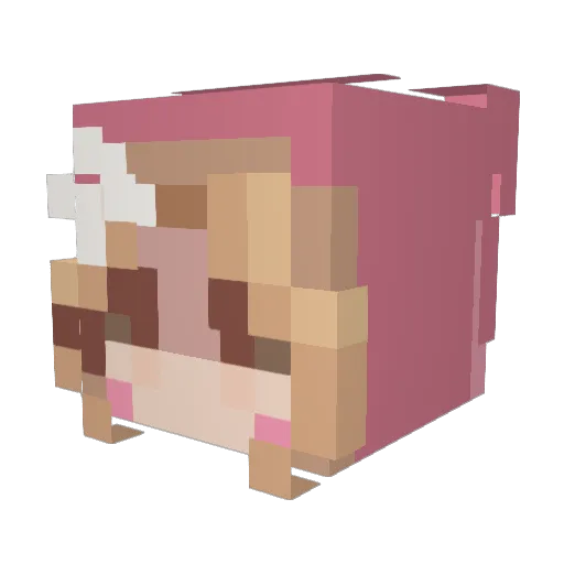NottAvah Minecraft avatar head, 3D render