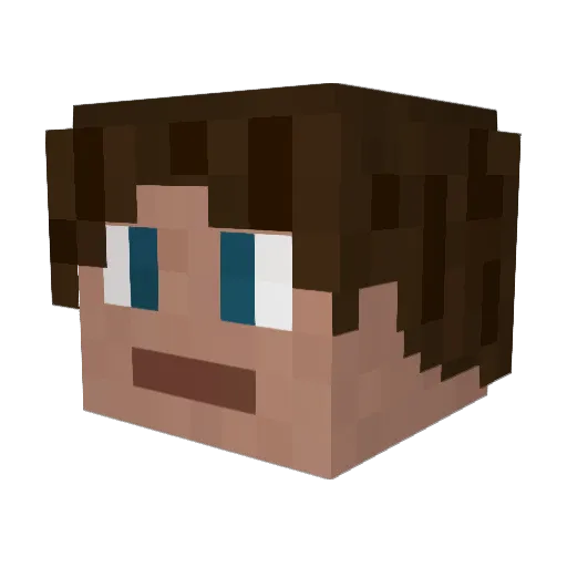 Nottiger77 Minecraft avatar head, 3D render