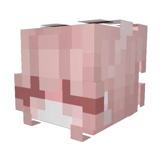 Nottm0e Minecraft avatar head, 3D render