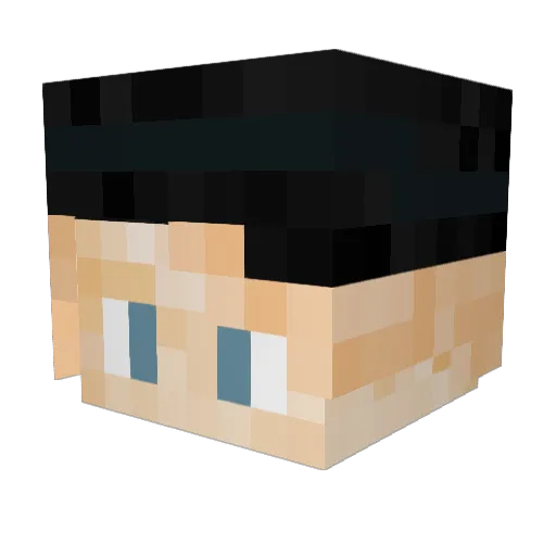 Nottorto Minecraft avatar head, 3D render