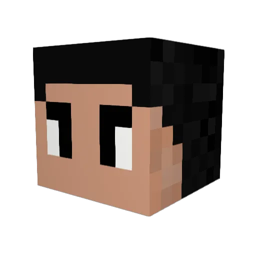 Notw_ Minecraft avatar head, 3D render