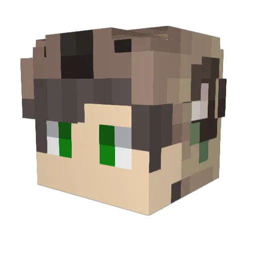 Notwojeq_ Minecraft avatar head, 3D render