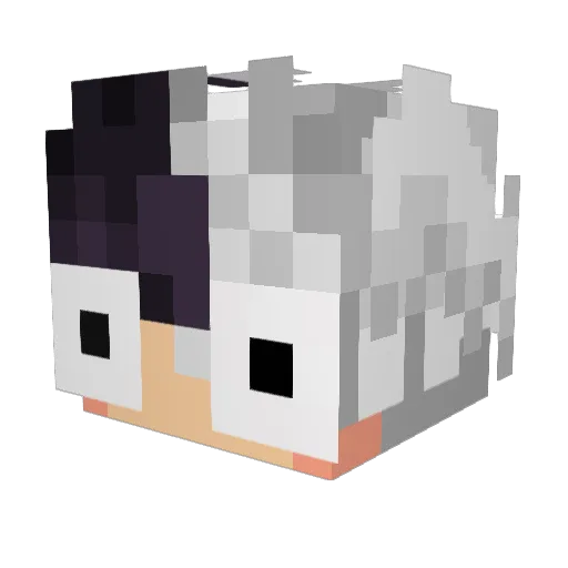 NotxYuno Minecraft avatar head, 3D render