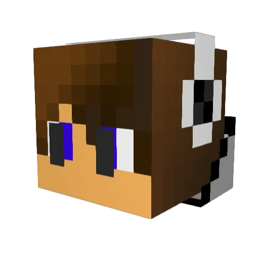 NouchOW Minecraft avatar head, 3D render