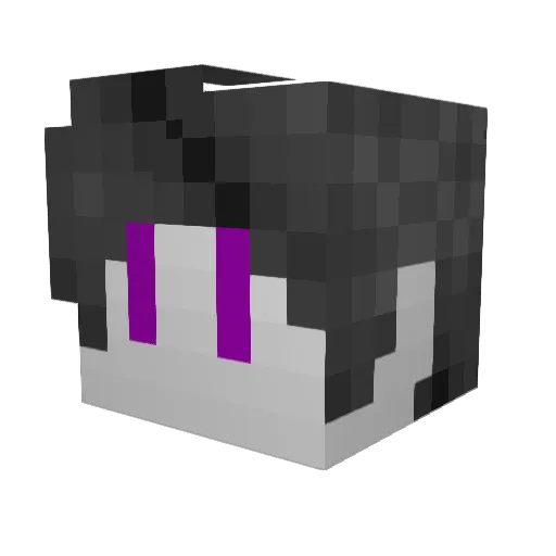 Nouche_ Minecraft avatar head, 3D render