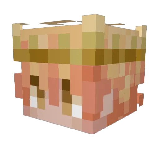 Nouchkaw Minecraft avatar head, 3D render