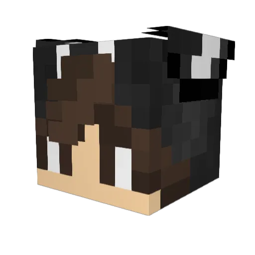 NouilleNoire Minecraft avatar head, 3D render