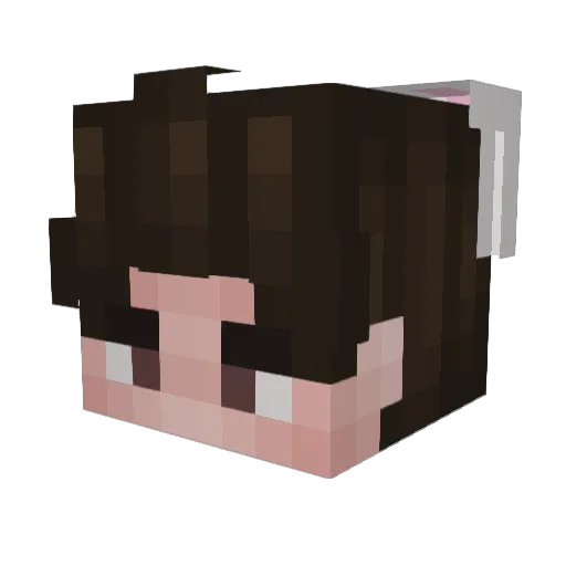 NoulS1k Minecraft avatar head, 3D render