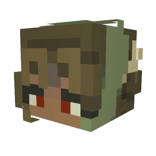 NourishNurture Minecraft avatar head, 3D render