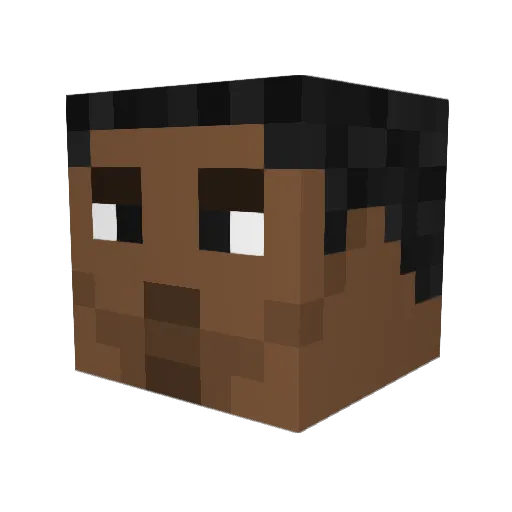NovAIM Minecraft avatar head, 3D render