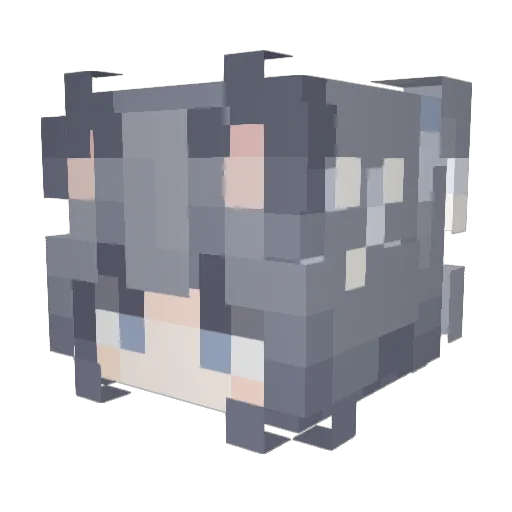 Nov_Zky Minecraft avatar head, 3D render