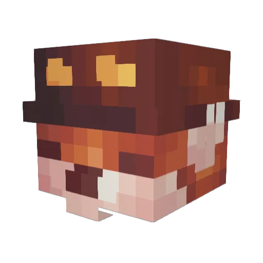 Nova1012 Minecraft avatar head, 3D render