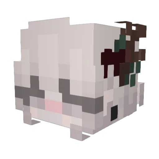 Nova5096 Minecraft avatar head, 3D render