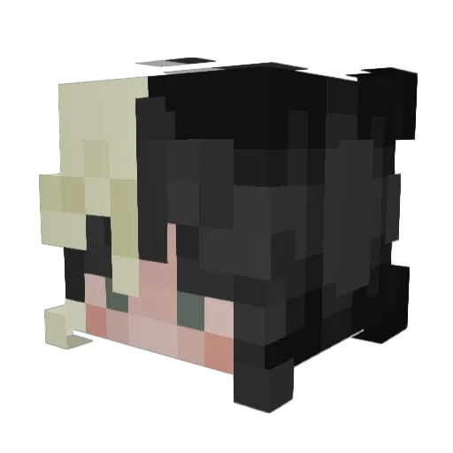 Nova6204 Minecraft avatar head, 3D render