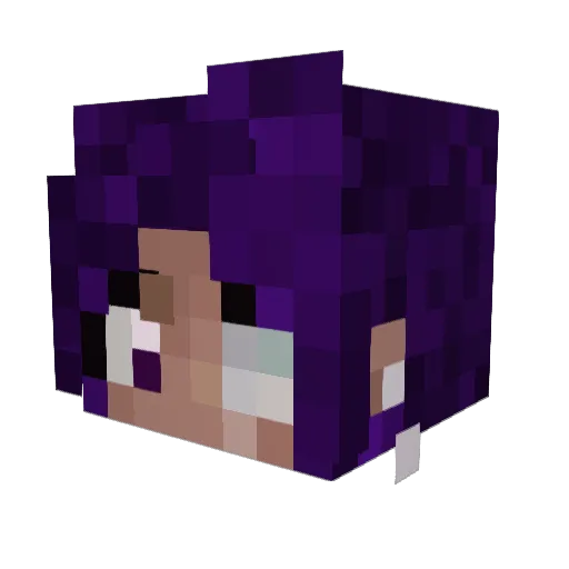 Nova71star Minecraft avatar head, 3D render
