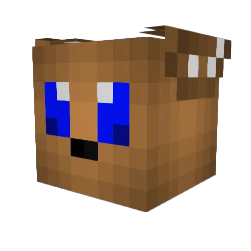 Nova835 Minecraft avatar head, 3D render