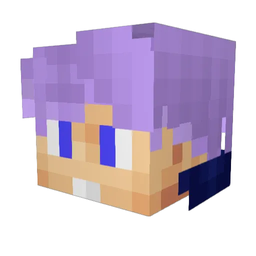 Nova89_ Minecraft avatar head, 3D render