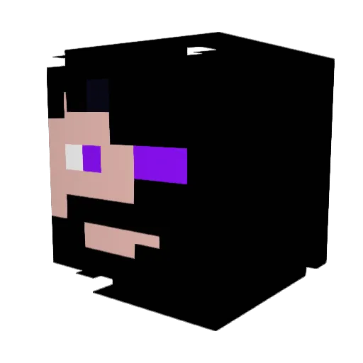 NovaBits Minecraft avatar head, 3D render