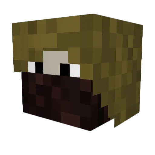 NovaBriggs Minecraft avatar head, 3D render