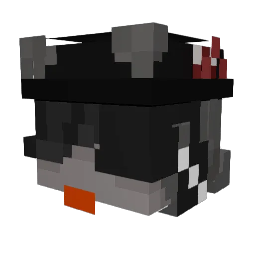 NovaCelina Minecraft avatar head, 3D render
