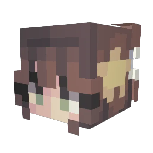 NovaCrafter99 Minecraft avatar head, 3D render
