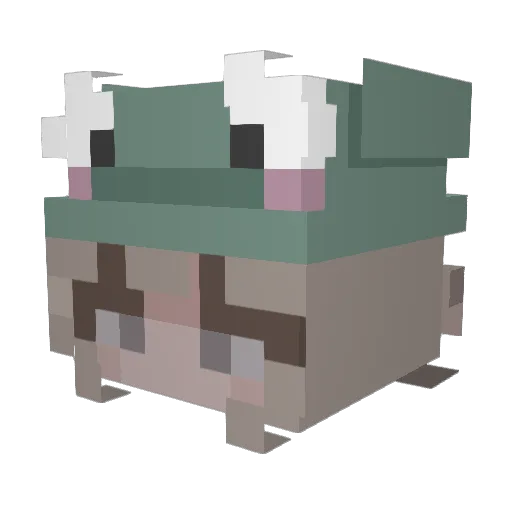 NovaCupp Minecraft avatar head, 3D render