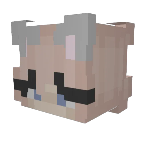 NovaDinky Minecraft avatar head, 3D render