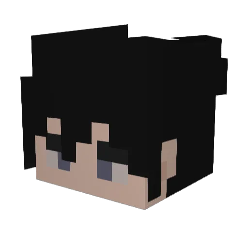 NovaFight Minecraft avatar head, 3D render
