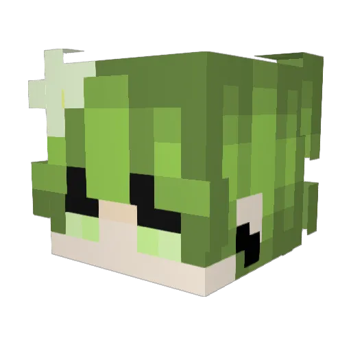 NovaGoldExxx Minecraft avatar head, 3D render