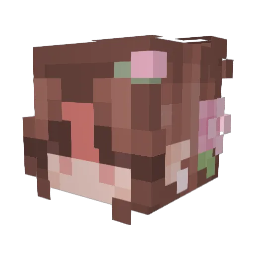 NovaHelena Minecraft avatar head, 3D render